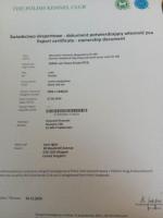 Щенки немецкой овчарки. Свяжитесь со мной
